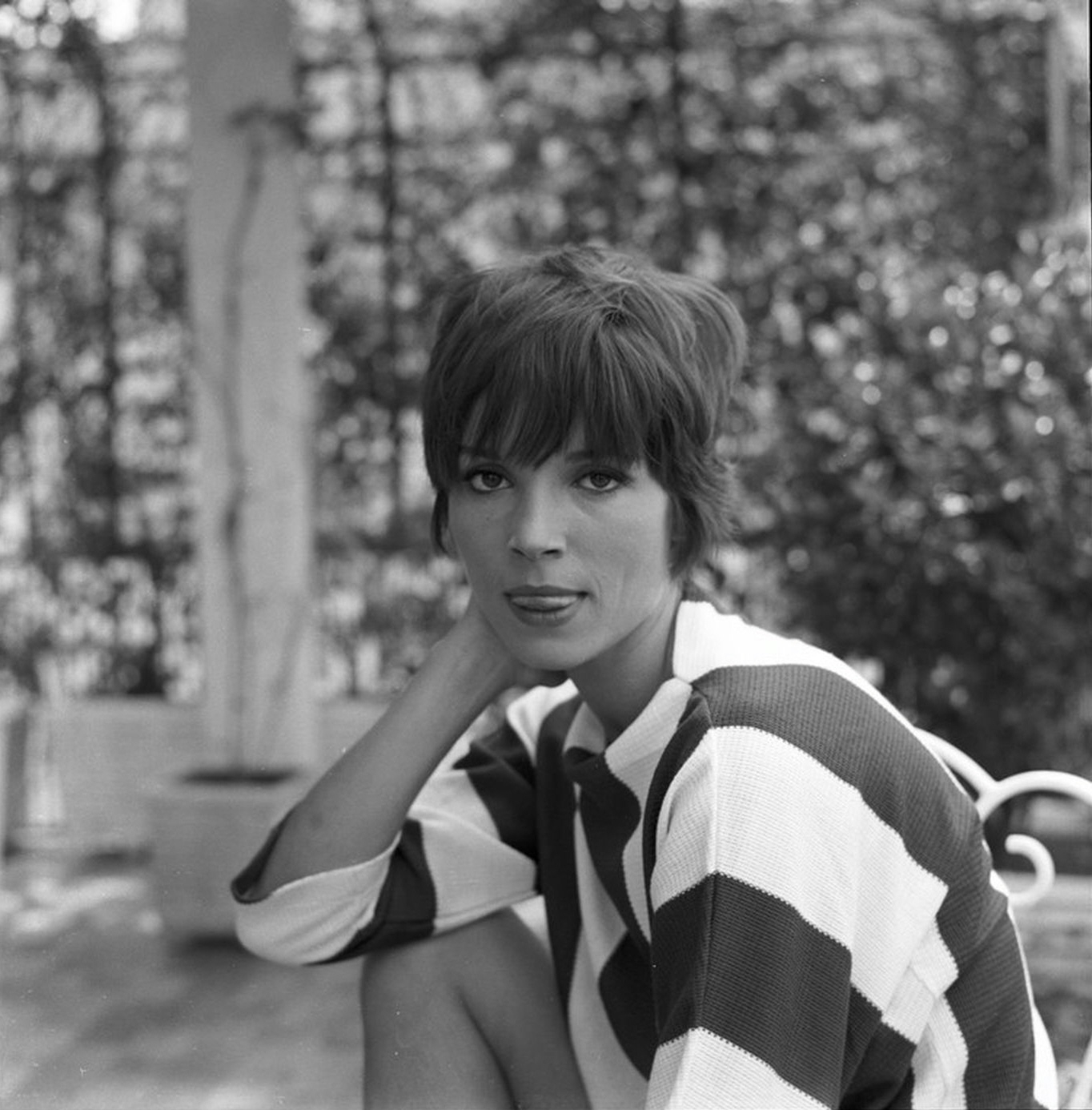 Elsa Martinelli Pictures