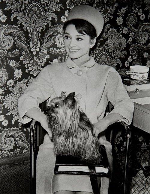 Audrey Hepburn