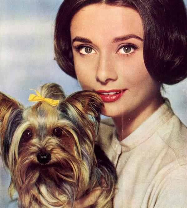 Audrey Hepburn