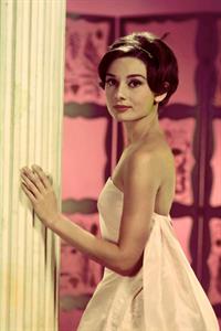 Audrey Hepburn
