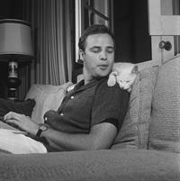 Marlon Brando