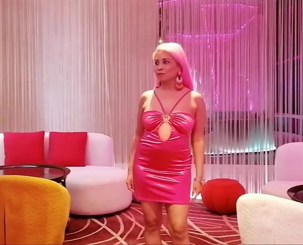 Strip dancer Pink Babe in the movie  Pink Strip Dance Night 