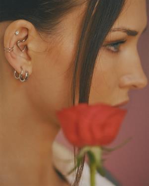 Red rose
