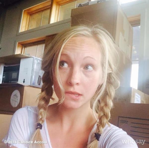 Candice Accola