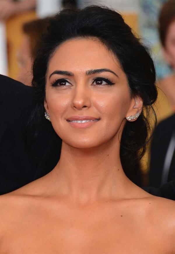 Nazanin Boniadi