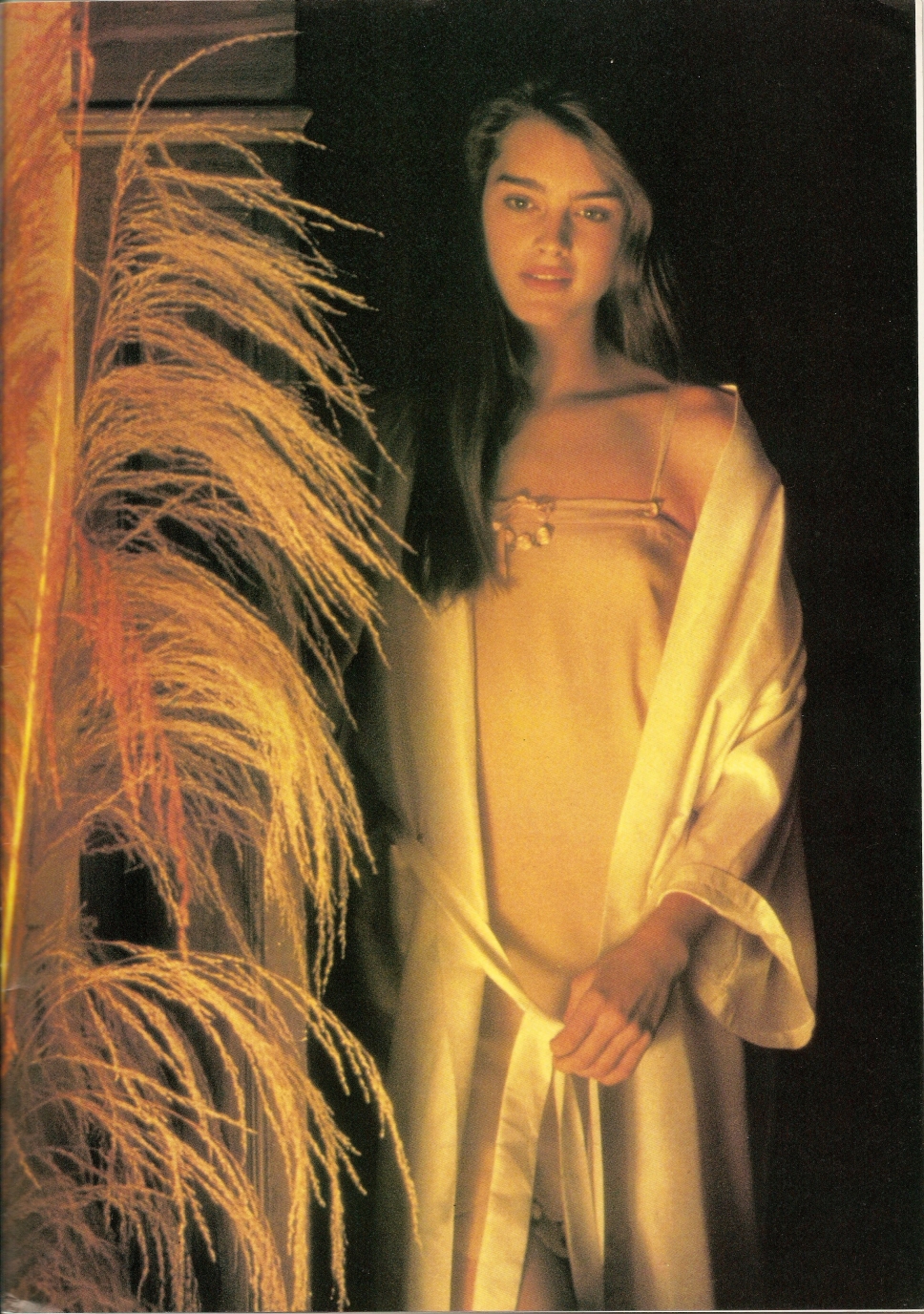 Brooke Shields in lingerie