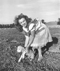 Marilyn Monroe